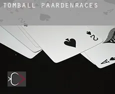 Tomball paardenraces