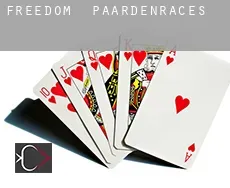 Freedom  paardenraces