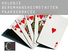 Kolonie Bergmannsheimstätten  paardenraces