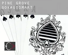 Pine Grove  gokautomaat