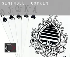 Seminole gokken