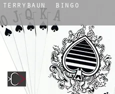 Terrybaun bingo