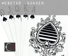 Webster gokken