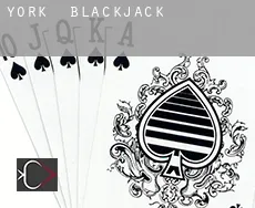 York  blackjack