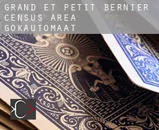 Grand-et-Petit-Bernier (census area)  gokautomaat