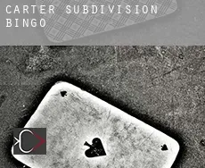 Carter Subdivision  bingo