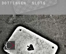 Döttingen  slots