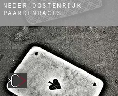 Neder-Oostenrijk paardenraces