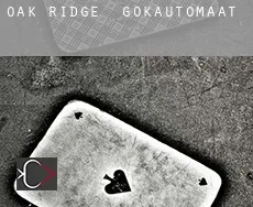 Oak Ridge  gokautomaat