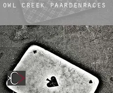 Owl Creek  paardenraces