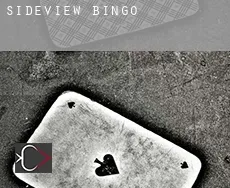 Sideview  bingo