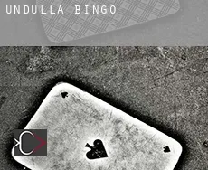 Undulla  bingo