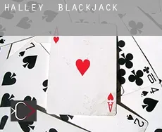 Halley  blackjack