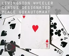Livingston Wheeler  gokautomaat