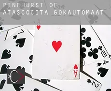 Pinehurst of Atascocita gokautomaat
