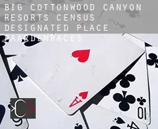 Big Cottonwood Canyon Resorts  paardenraces