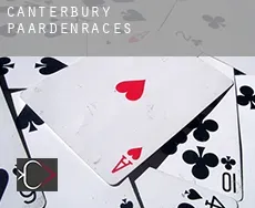 Canterbury paardenraces