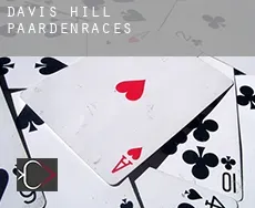 Davis Hill paardenraces