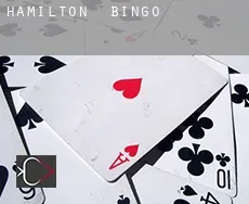 Hamilton  bingo