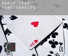 Maple Leaf  paardenraces