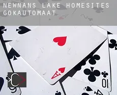 Newnans Lake Homesites  gokautomaat
