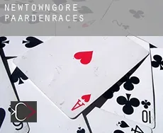 Newtowngore  paardenraces