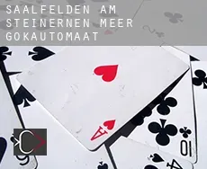 Saalfelden am Steinernen Meer  gokautomaat