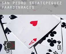 San Pedro Sacatepéquez  paardenraces