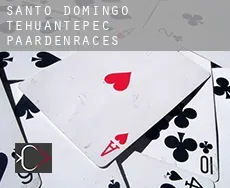 Santo Domingo Tehuantepec paardenraces