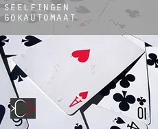 Seelfingen  gokautomaat