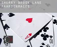 Sherry Brook Lane paardenraces