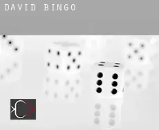 David  bingo