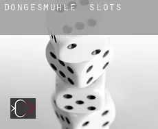 Döngesmühle slots