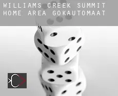 Williams Creek Summit Home Area  gokautomaat