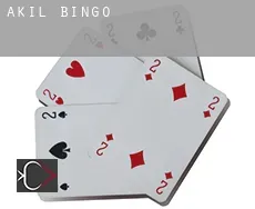 Akil  bingo
