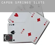 Capon Springs  slots
