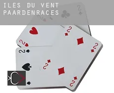 Îles du Vent  paardenraces