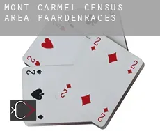 Mont-Carmel (census area)  paardenraces