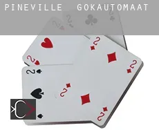 Pineville  gokautomaat