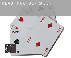 Plad  paardenraces