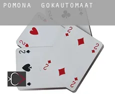 Pomona  gokautomaat