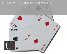 Seney  gokautomaat