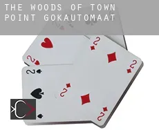 The Woods of Town Point  gokautomaat