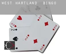 West Hartland  bingo