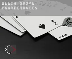 Beech Grove paardenraces