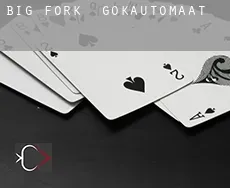 Big Fork  gokautomaat