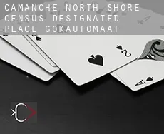 Camanche North Shore  gokautomaat