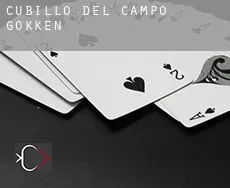 Cubillo del Campo  gokken