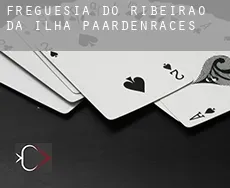 Freguesia do Ribeirao da Ilha  paardenraces