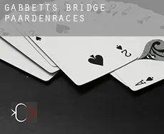 Gabbett’s Bridge  paardenraces